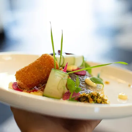 روبنشوف فندق 2*